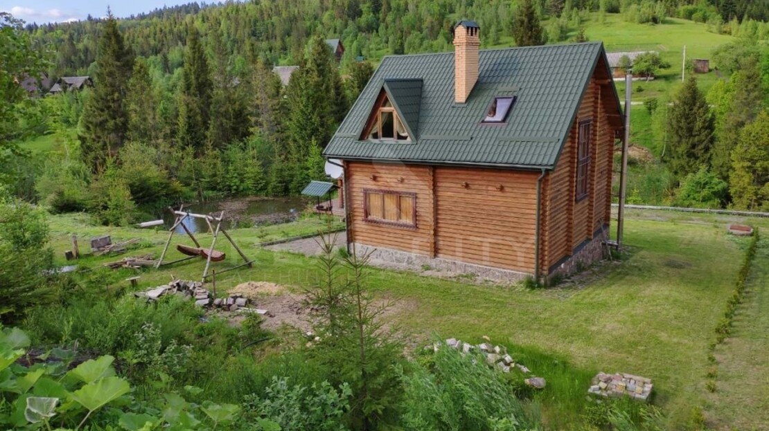 video image