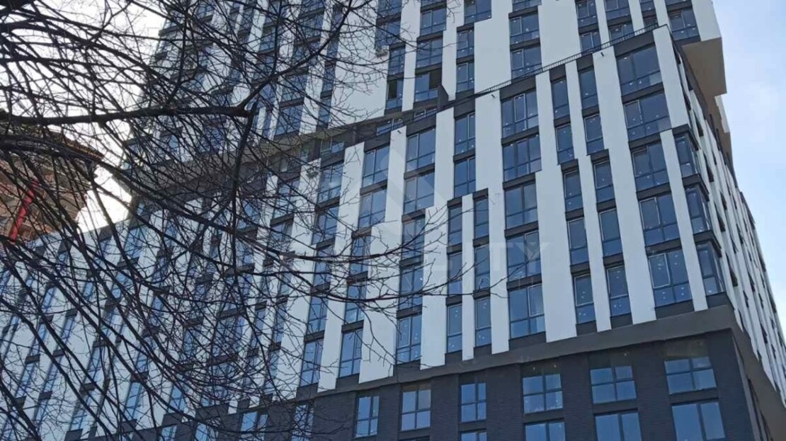 video image