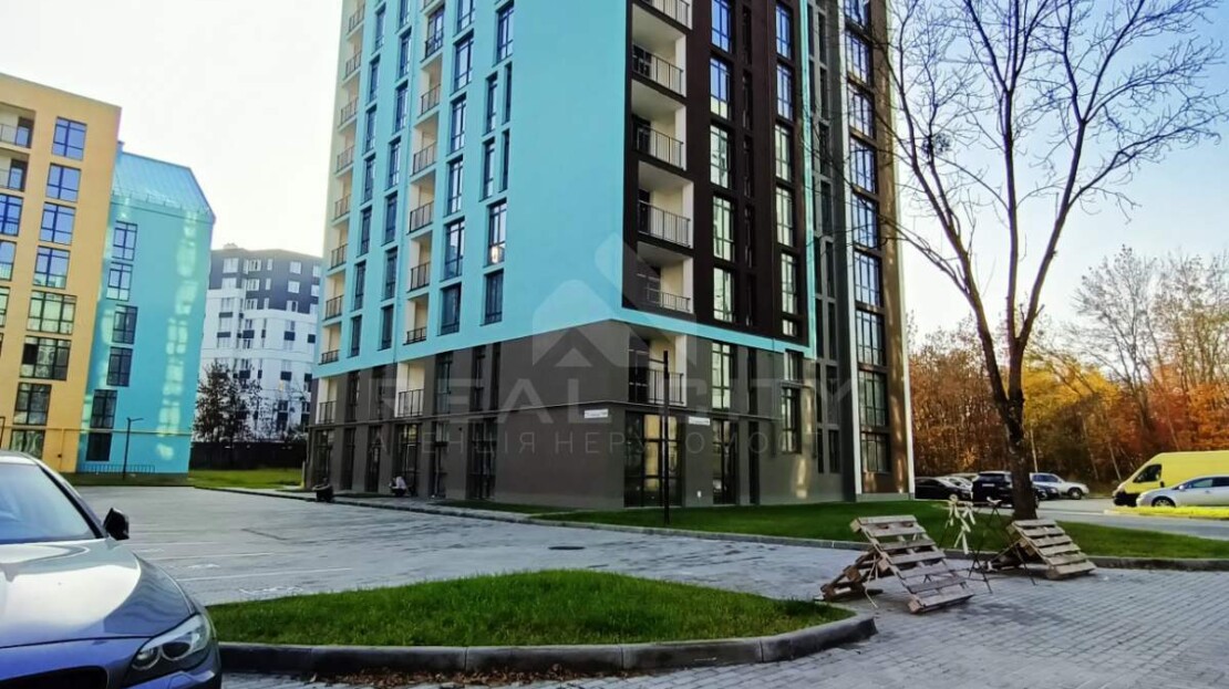 video image