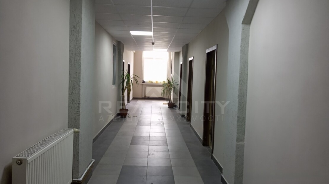 video image