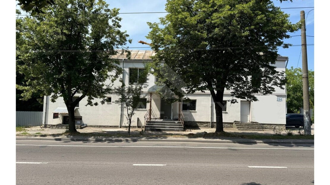 video image