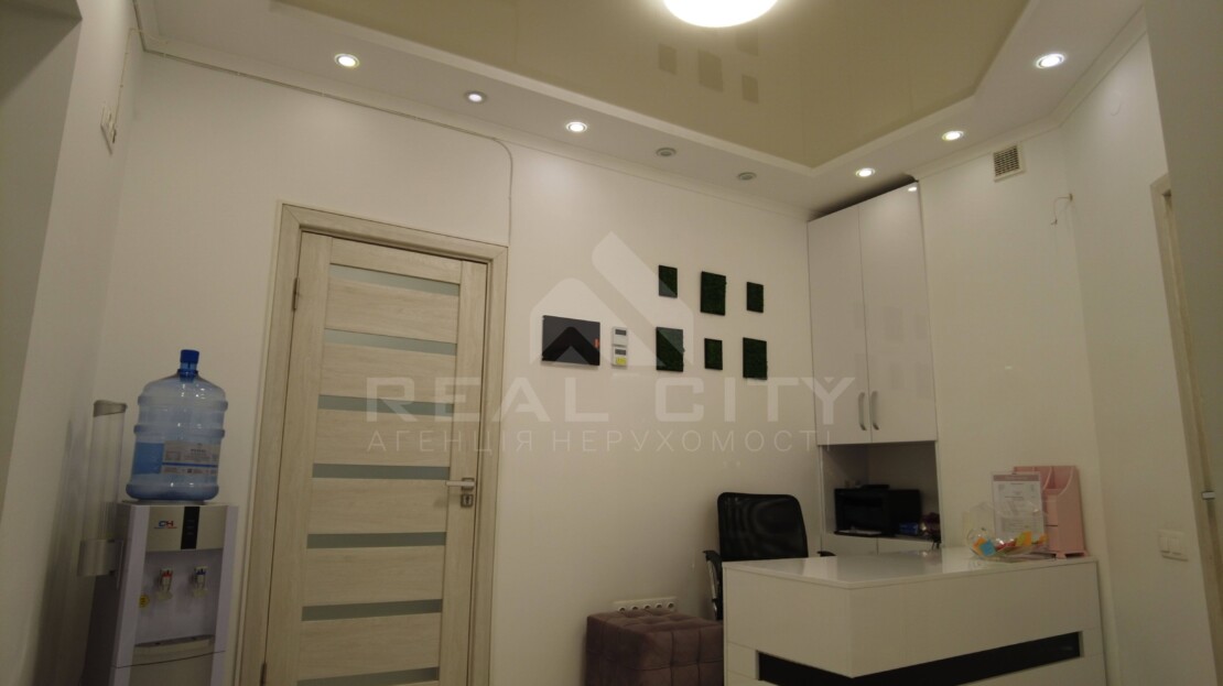 video image