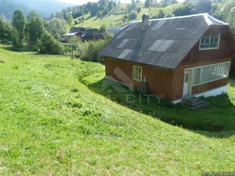 video image