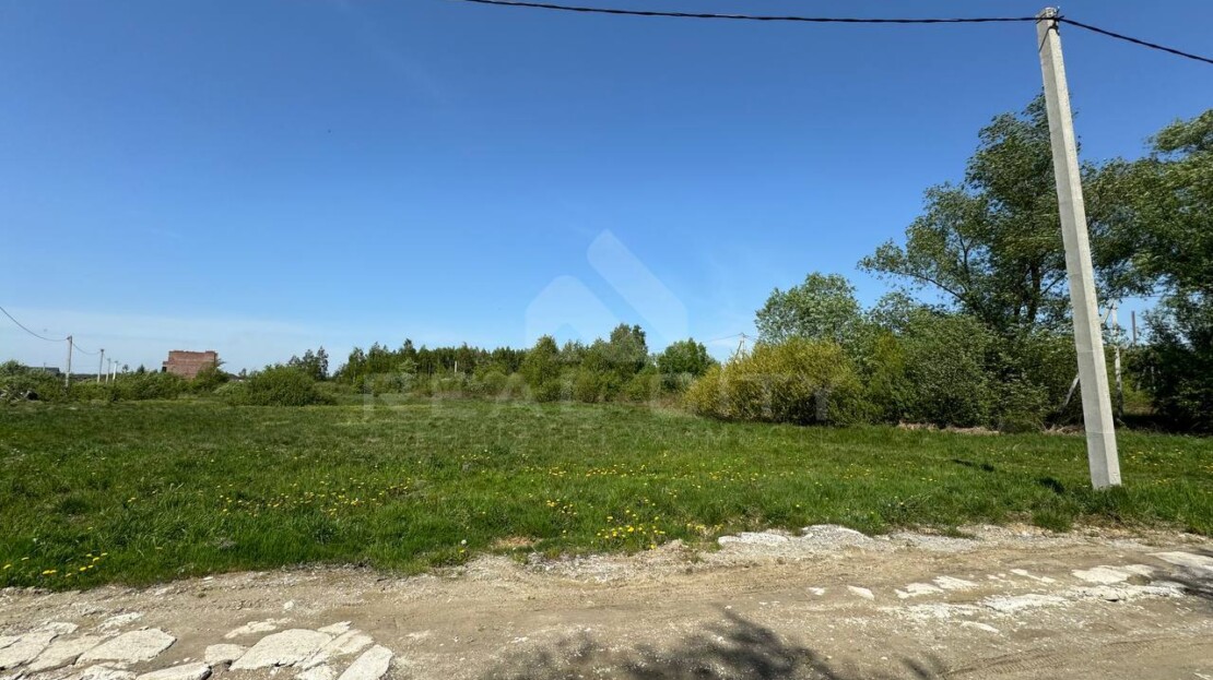 video image