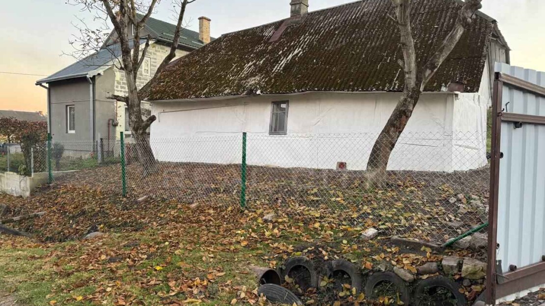 video image